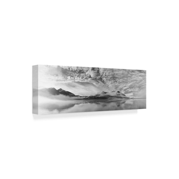 Marloes Van Pareren 'Morning Mist Gray' Canvas Art,8x24